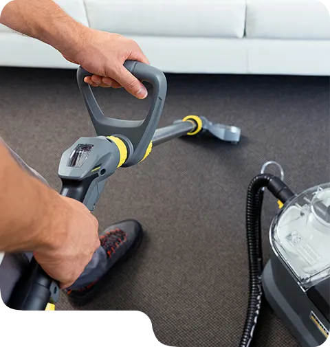 Reliable Carpet Cleaners Maroochydore